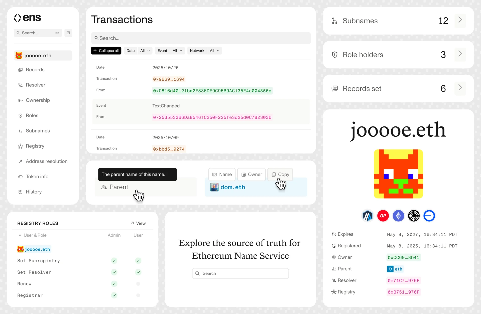 Collage of ENS Explorer Beta screens showing name details, transaction history, subnames, role holders, registry roles, and protocol data.
